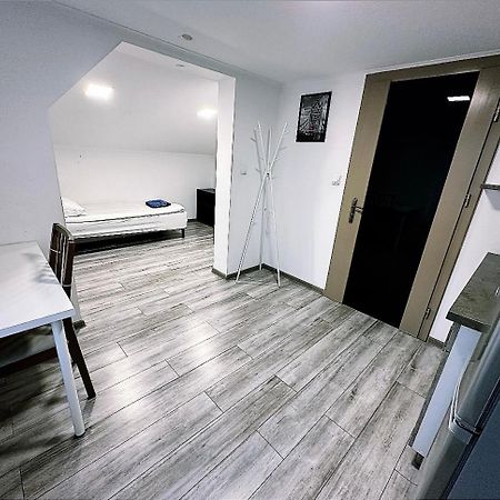 Apartamenty Retro Dabrowa Gornicza Ngoại thất bức ảnh